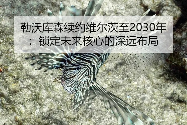 勒沃库森续约维尔茨至2030年：锁定未来核心的深远布局