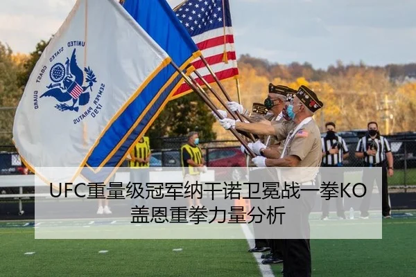 UFC重量级冠军纳干诺卫冕战一拳KO盖恩重拳力量分析
